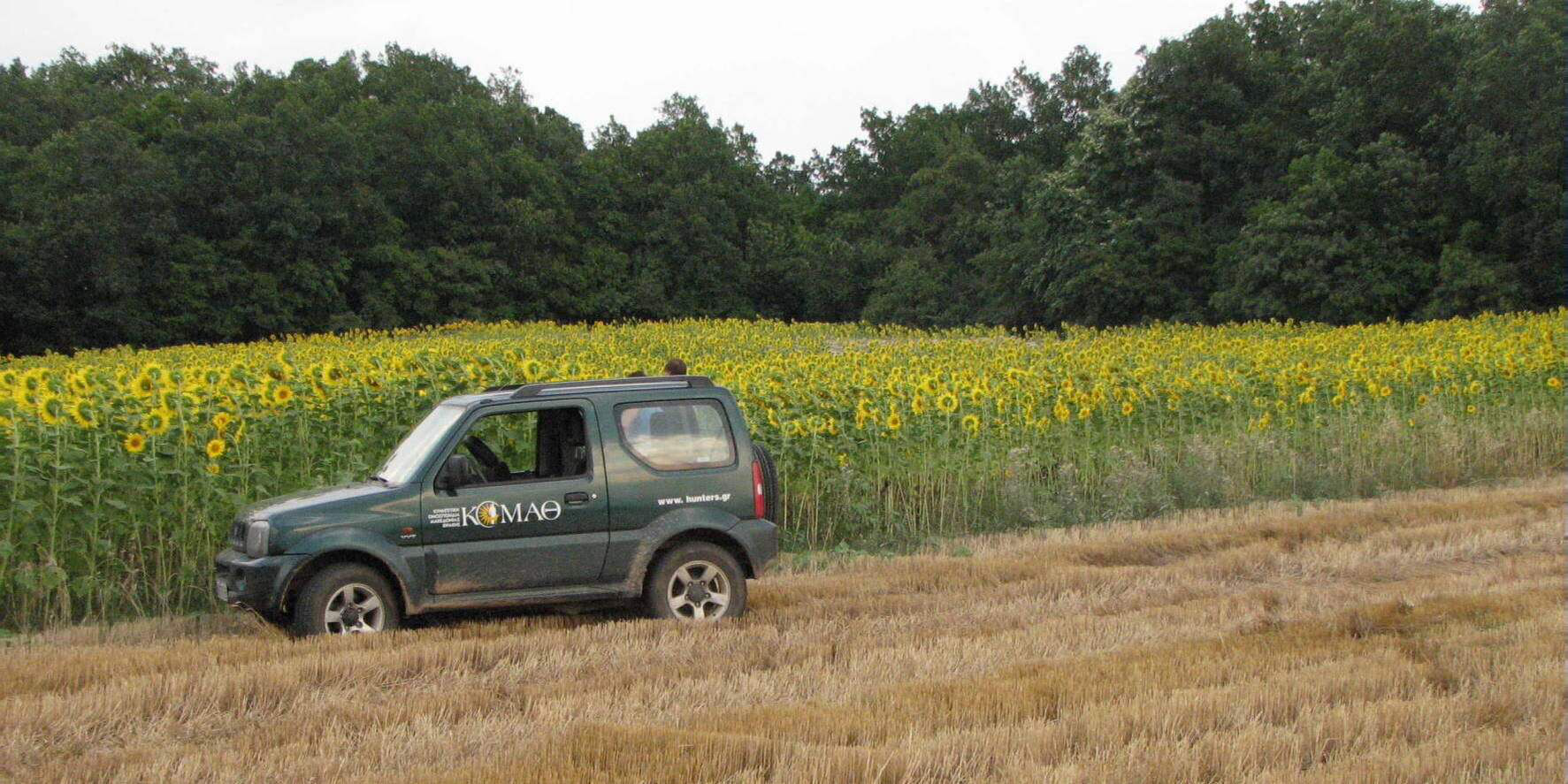 Hunting-ground vehicle beside a sunflower field used for harvest control in Greece