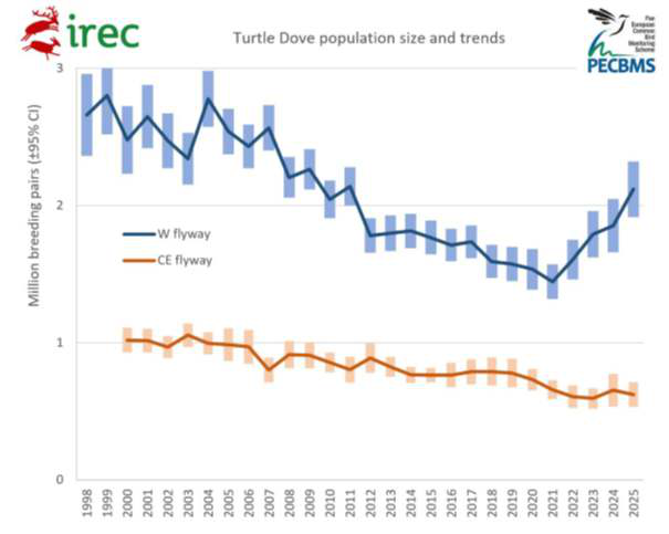 Chart of Turtle Dove population size and trends 1998-2025 for the Western and Central/Eastern flyways