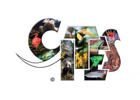 cites_logo