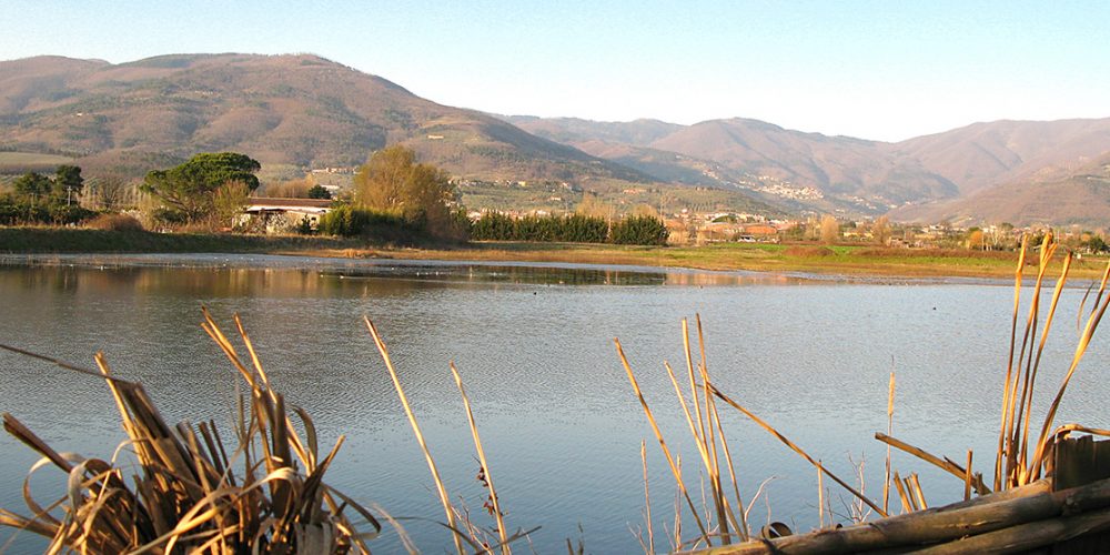 ecosystem_services