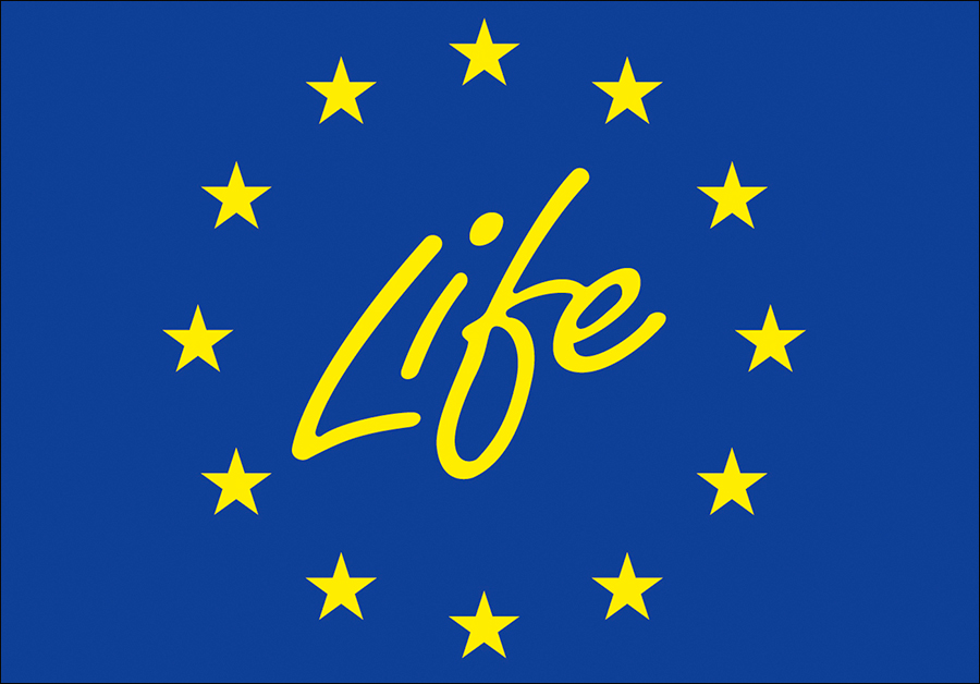 LIFE logo