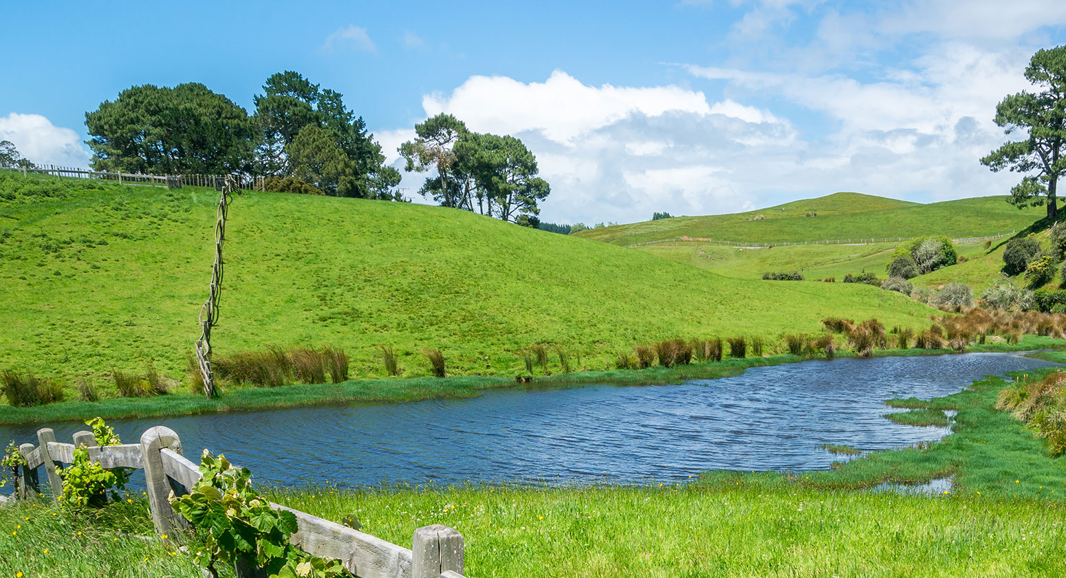 Dialogue on the Future of Europe’s Countryside: Sustainable Land use, Hunting and Nature Conservation