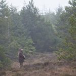 wetlands farmer