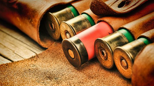 lead_shot_ammunition