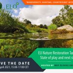 IG_Event_Restoration_13_Apr_2021