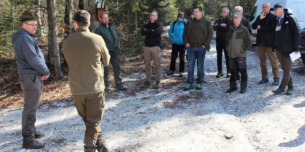 Lynx_conference_slovenia_2