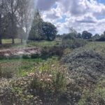 Nature-Restoration