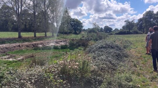 Nature-Restoration