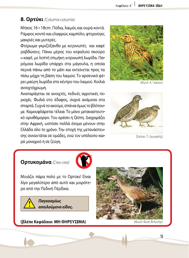 2 - GR - Quail & Corn crake look alike