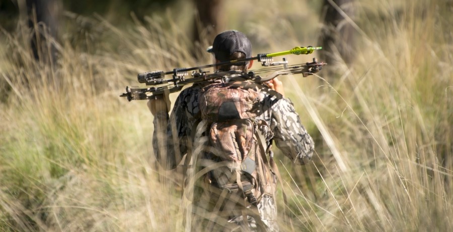 FACE  Good news for young bow hunters in Hungary!