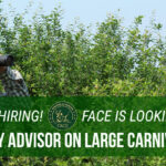 LC_position