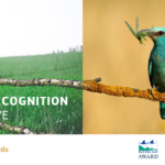 Natura_2000_web_banner_bird_1000px