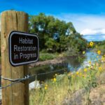 Habitat_Restoration