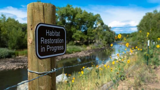 Habitat_Restoration