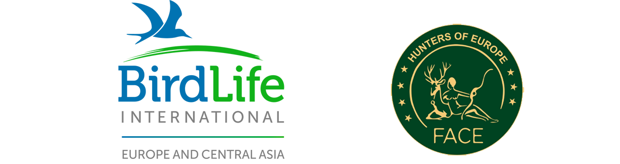 logos