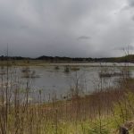 Breeding_Habitats