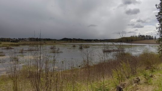 Breeding_Habitats