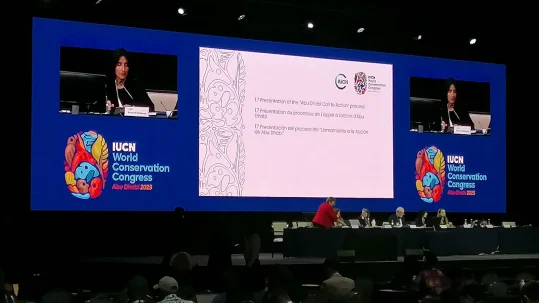 7c7b661a-580d-41f6-938b-7abb1f7b79e5_4000x2721