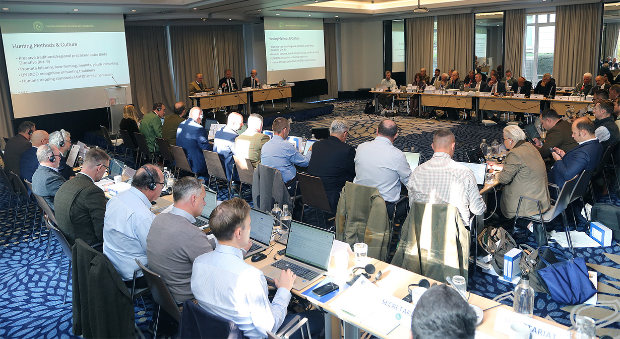FACE-General-Assembly-2025