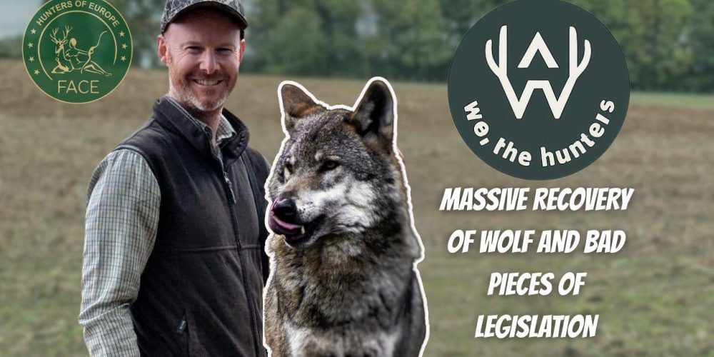 WhatsApp Image 2025-10-31 at 08.47.16