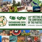 2025_CoP20