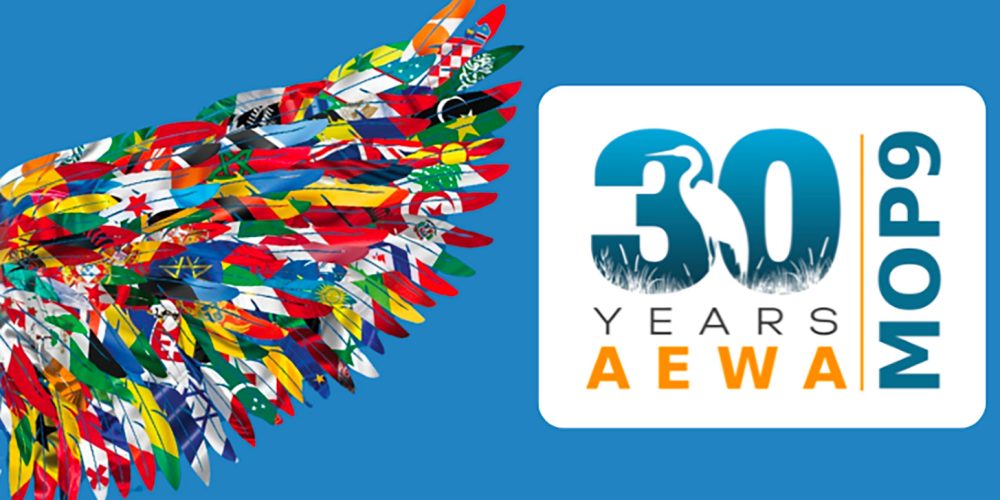 mop9-curtainraiser-featured-image