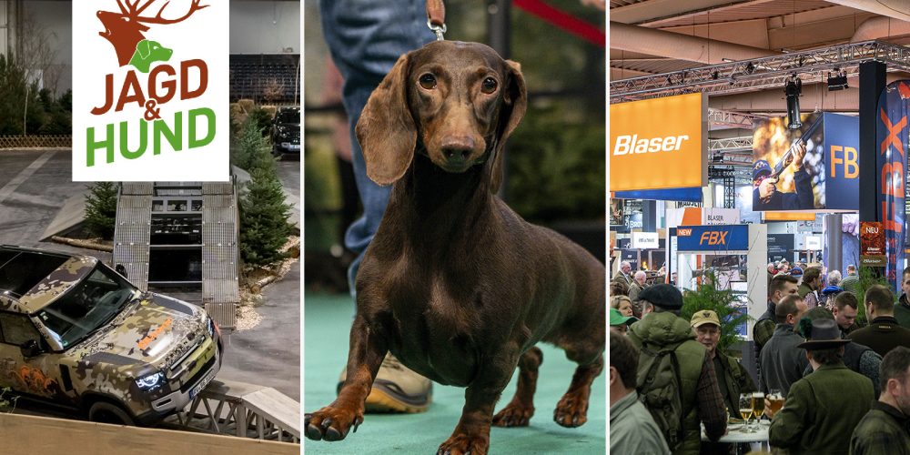 Jagd&Hund_FACE