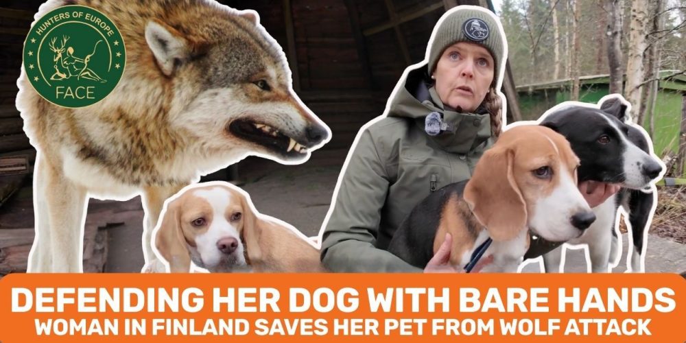 WhatsApp Image 2026-01-23 at 10.45.19