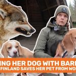 WhatsApp Image 2026-01-23 at 10.45.19