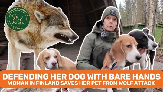 WhatsApp Image 2026-01-23 at 10.45.19