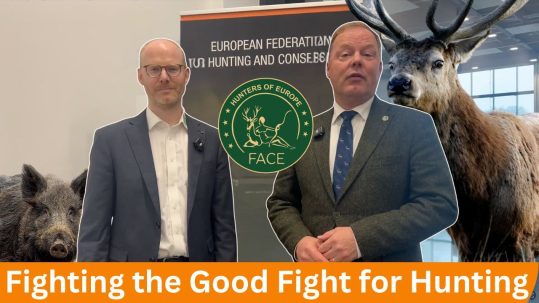 WhatsApp Image 2026-02-26 at 19.29.26