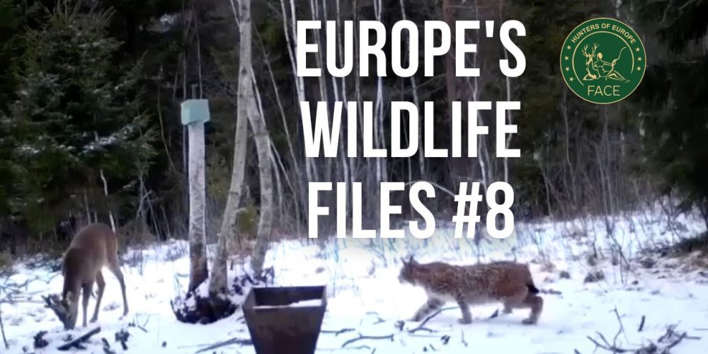 WhatsApp Image 2026-03-02 at 15.22.29