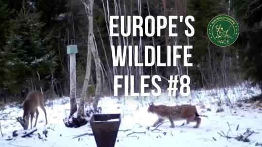 WhatsApp Image 2026-03-02 at 15.22.29