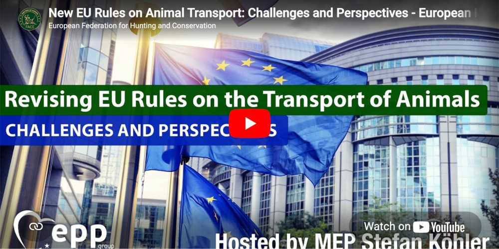 Screenshot-2026-04-22-at-17.10.18