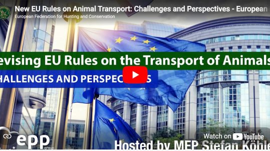 Screenshot-2026-04-22-at-17.10.18