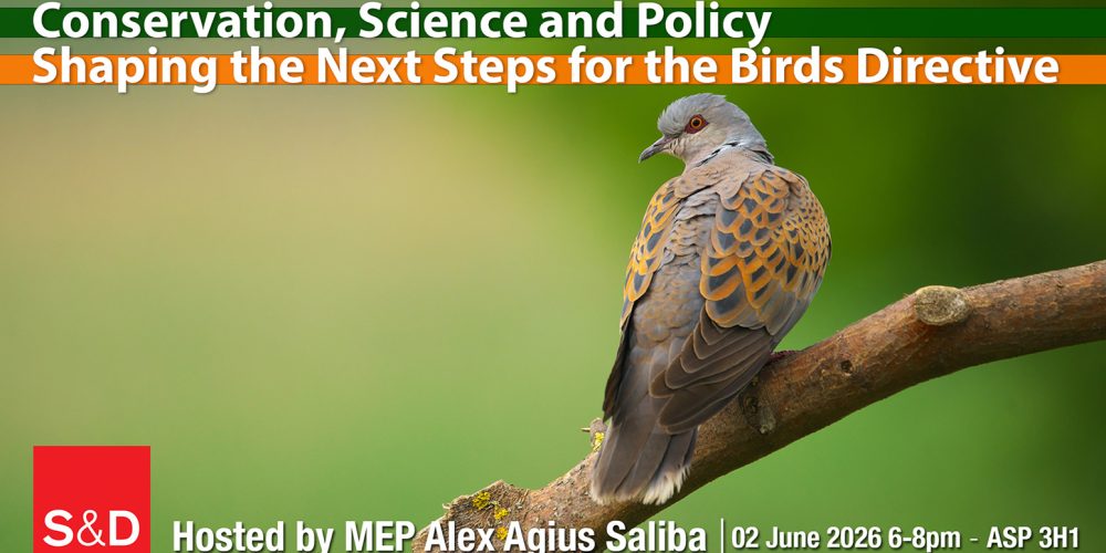 Next_Steps_for_Birds_Directive_Alex_Saliba
