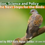 Next_Steps_for_Birds_Directive_Alex_Saliba