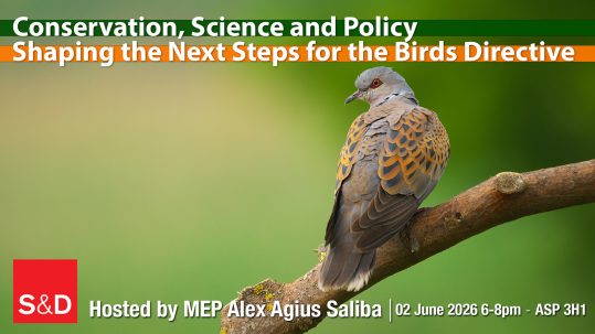 Next_Steps_for_Birds_Directive_Alex_Saliba