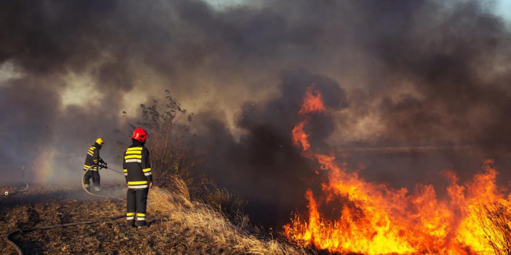 ENVI_Fires_Wildlife_Prevention