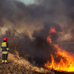 ENVI_Fires_Wildlife_Prevention