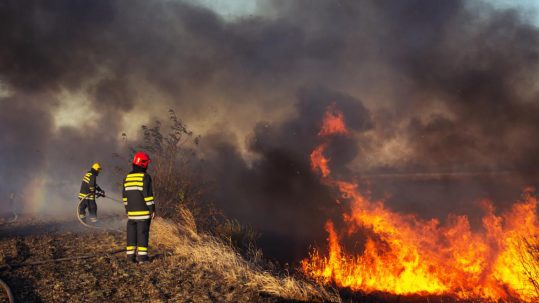 ENVI_Fires_Wildlife_Prevention