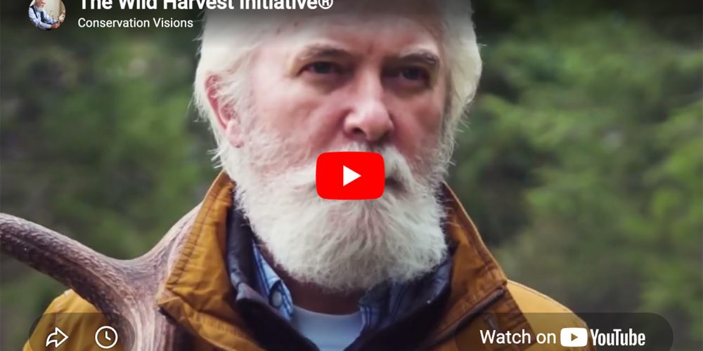 New_Study_Wild_Harvest_Initiative