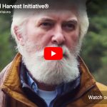 New_Study_Wild_Harvest_Initiative