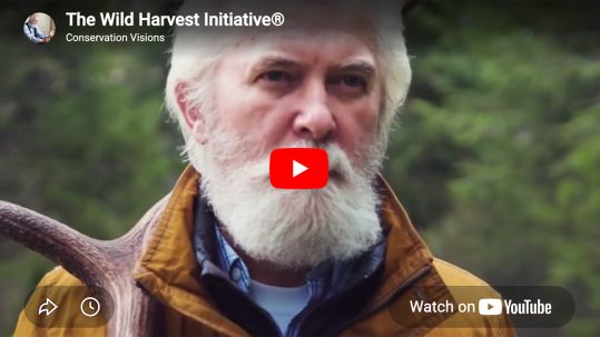 New_Study_Wild_Harvest_Initiative