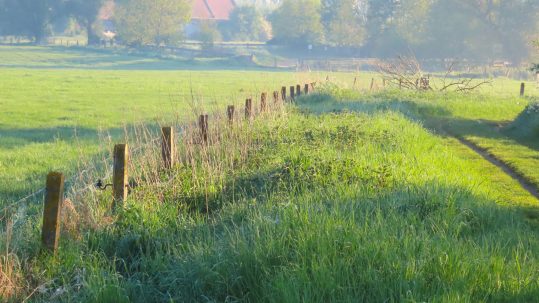 BDM_Grey-Partridge-Returns-to-the-Agricultural-Landscape-of-Greater-Poland_3