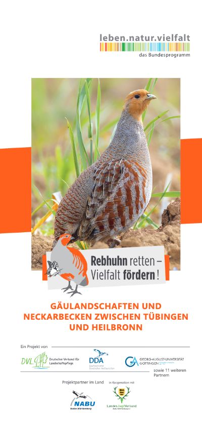 Cover of the flyer Rebhuhn retten – Vielfalt fördern
